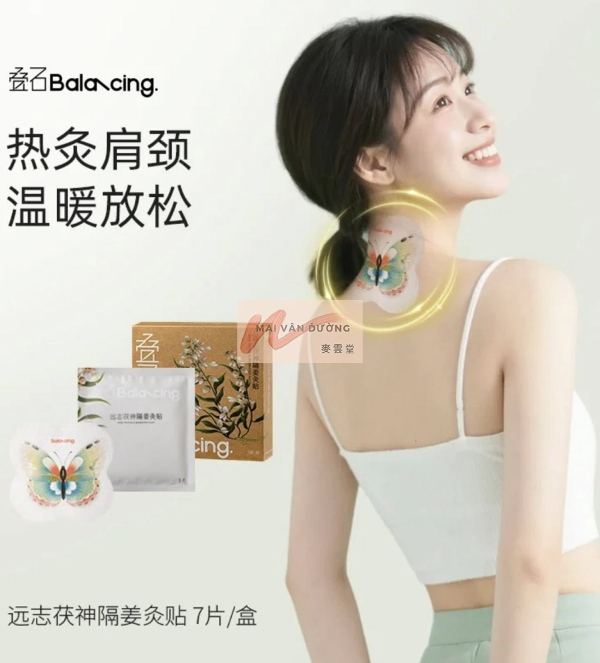 MIẾNG DÁN CỨU CÁCH GỪNG – HƯƠNG PHỤ – ĐƯƠNG QUY