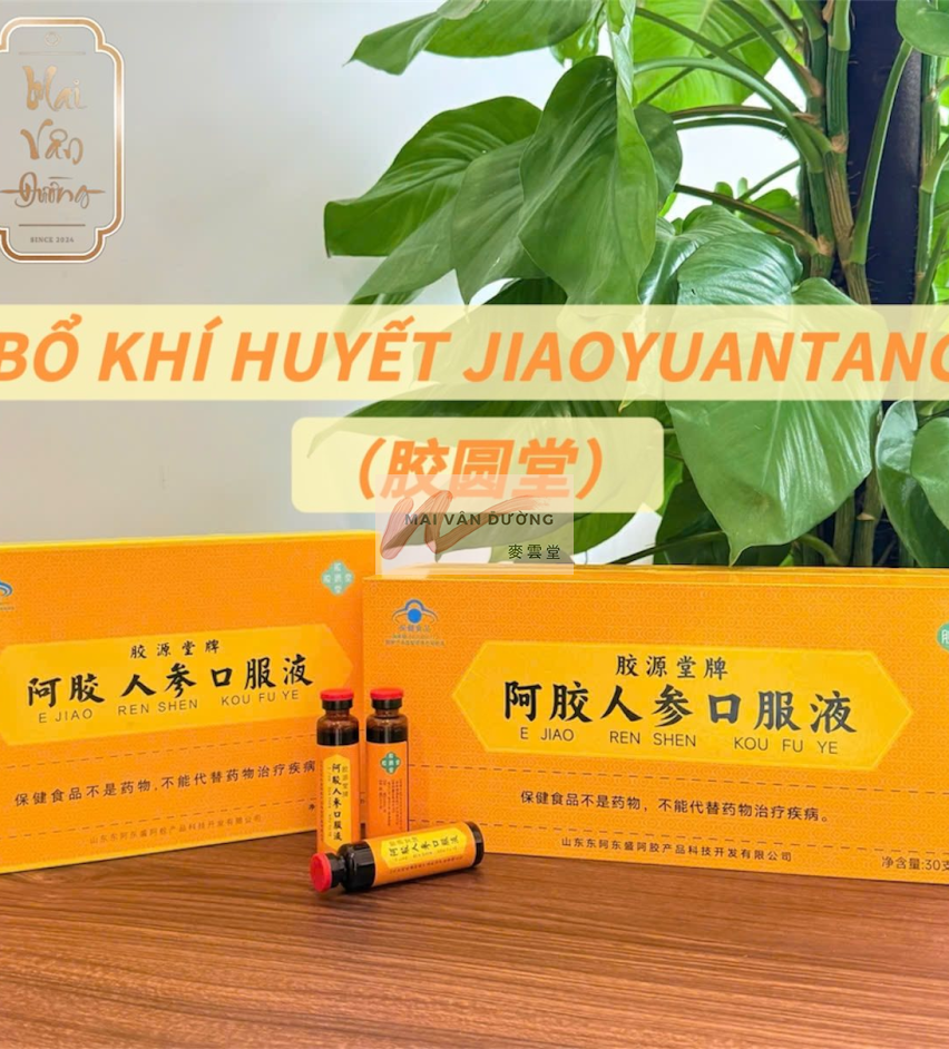 A GIAO NHÂN SÂM DƯỠNG KHÍ HUYẾT
