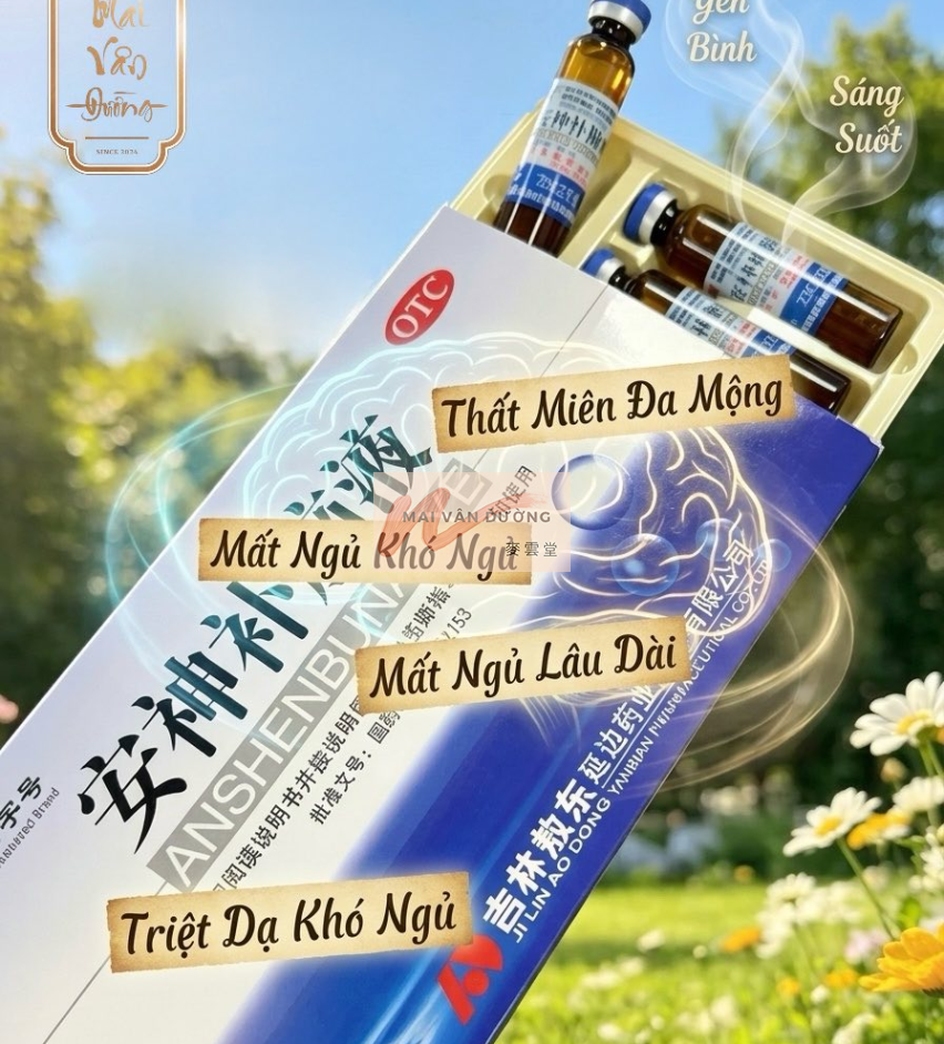 AN THẦN BỔ NÃO AO DONG 